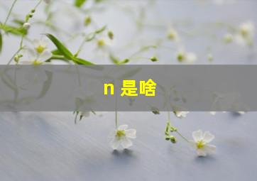 n 是啥